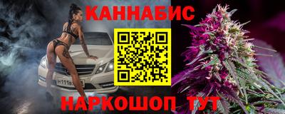 стаф Новозыбков