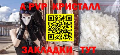 стаф Новозыбков